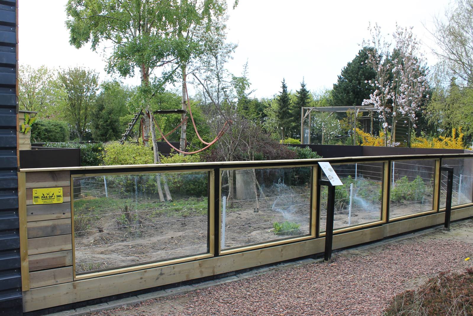 New out-door-enclosure Ring-tailed coati