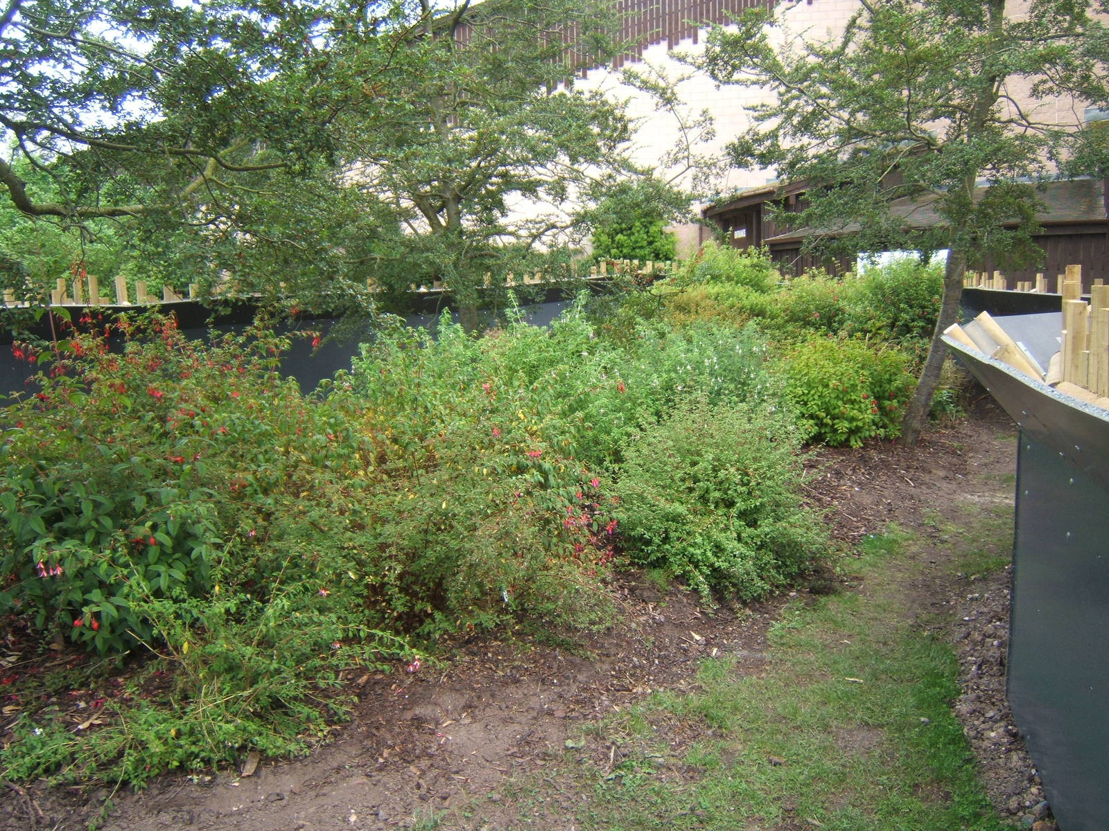 New out door Sloth exhibit