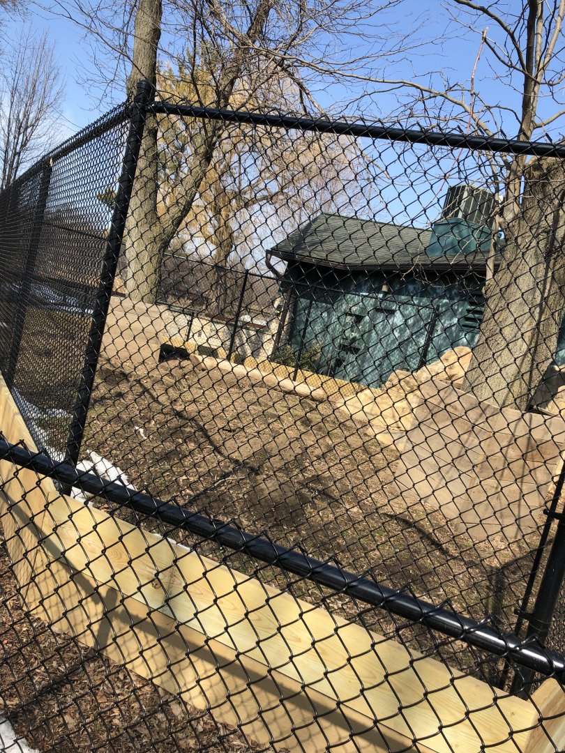 NEW Outdoor Aardvark Exhibit