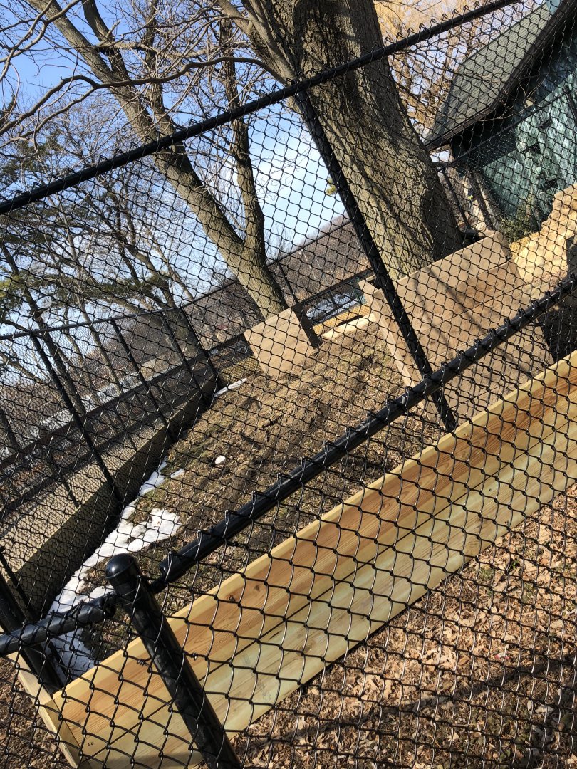 NEW Outdoor Aardvark Exhibit