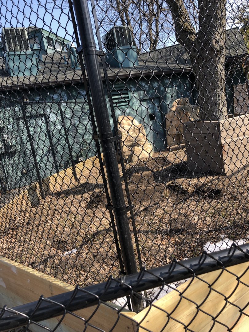 NEW Outdoor Aardvark Exhibit