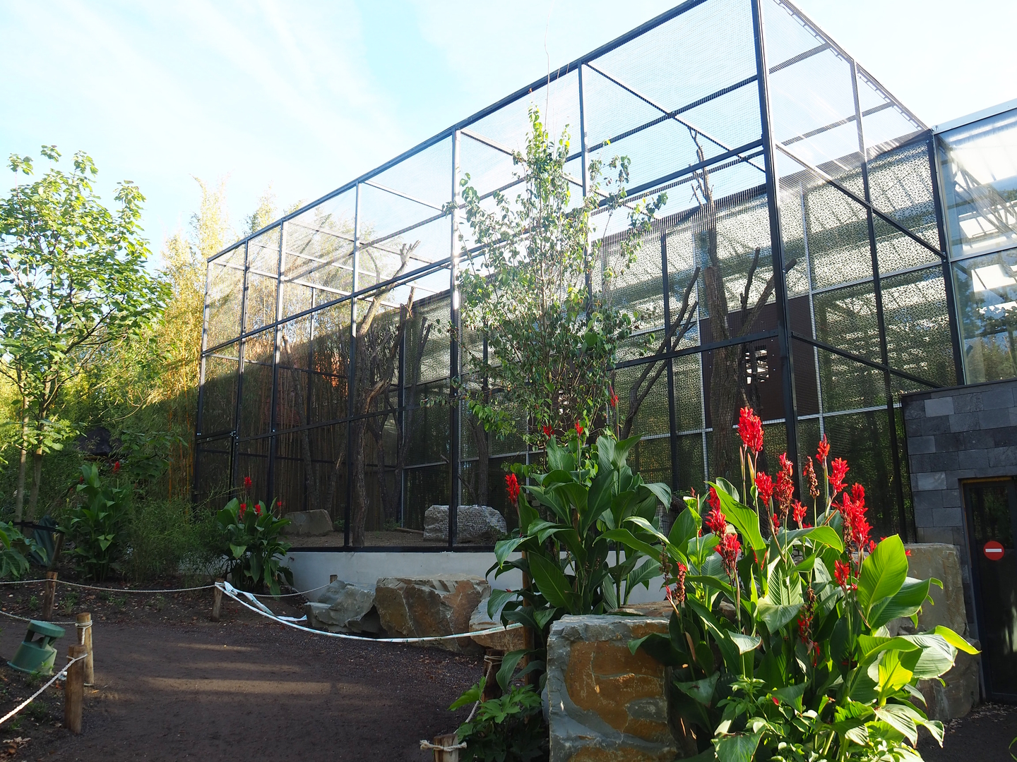 New outdoor aviary for Wrinkled hornbill, Sclater's crowned pigeon and Greater hill myna, 2022-09-12