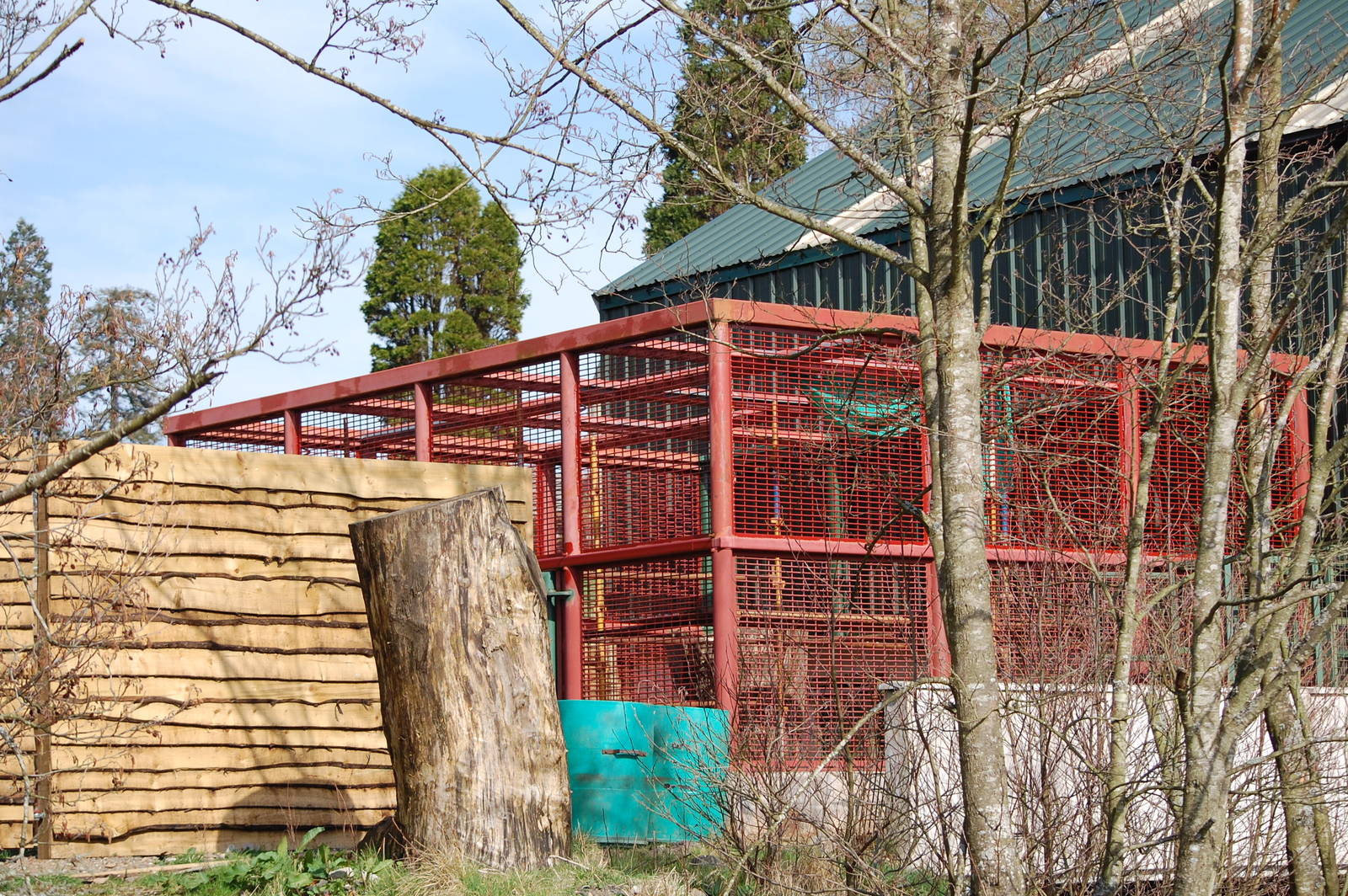New Outdoor Chimp Exhibit