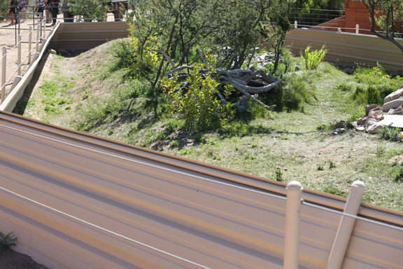 new outdoor lizard exhibit