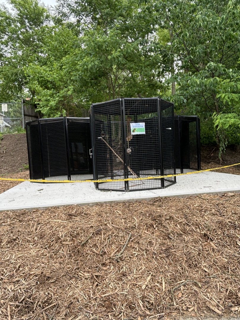 NEW Outdoor Macaw Display