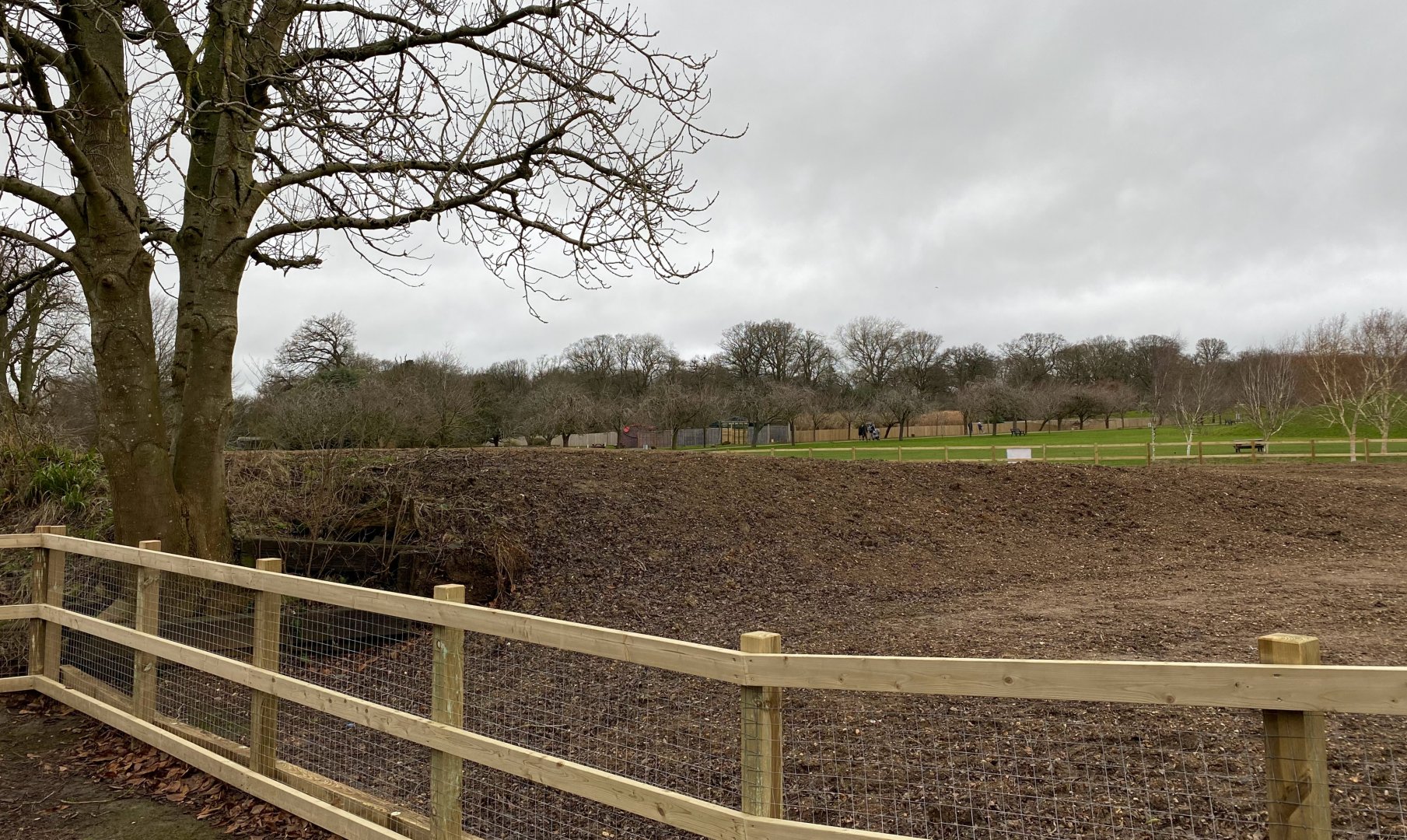 New outdoor picnic area (former sealion enclosure) WIP, ZSL Whipsnade