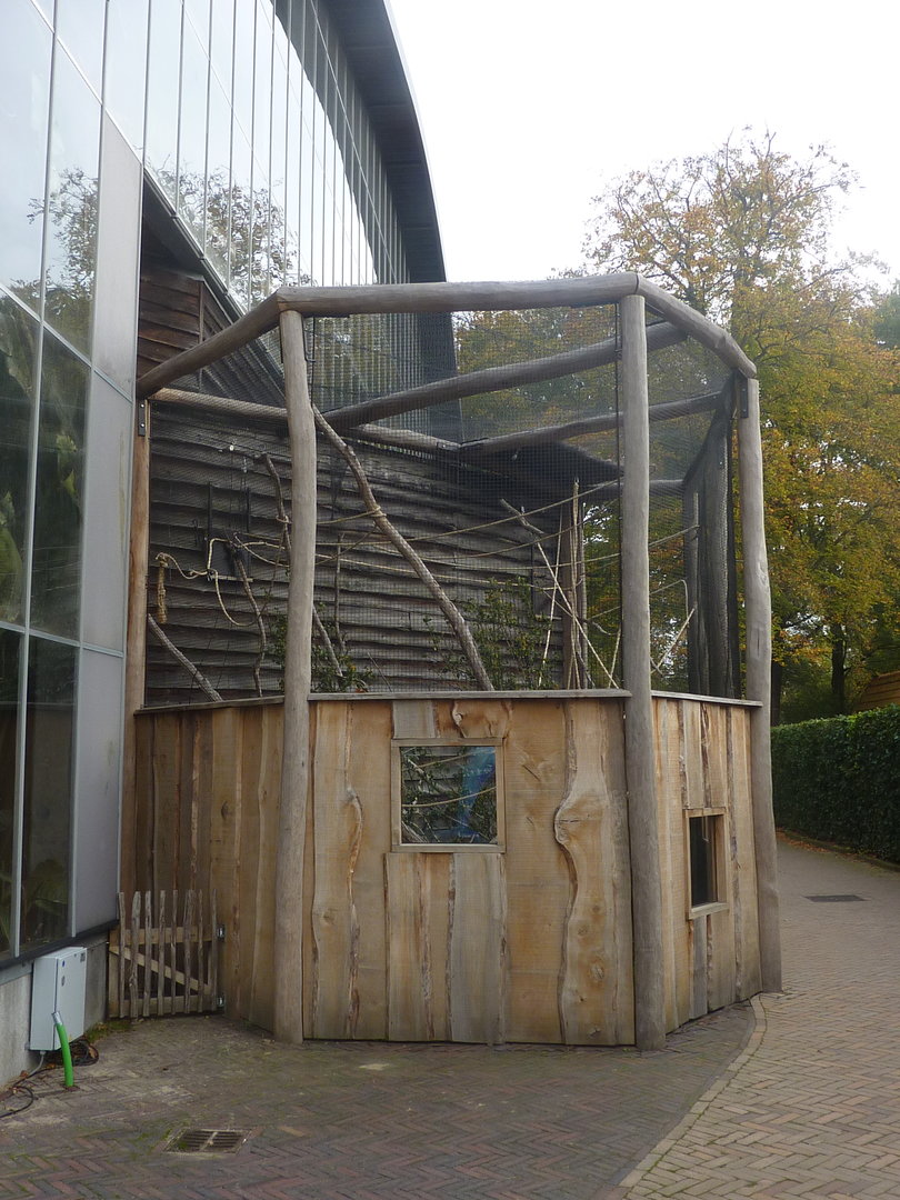 New outside aviary for Lyle's flying foxes
