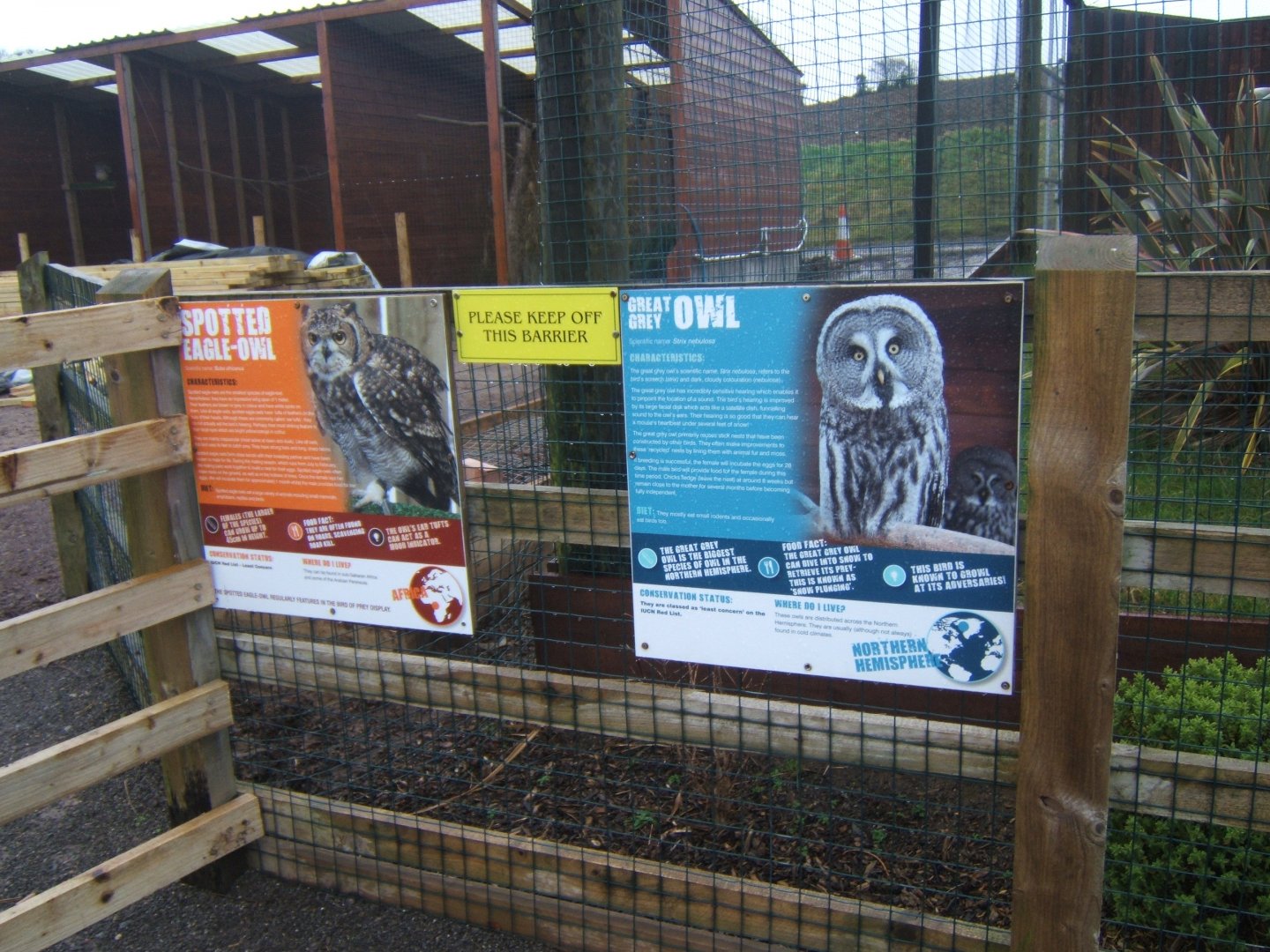 New Owl aviaries 03/02/2018