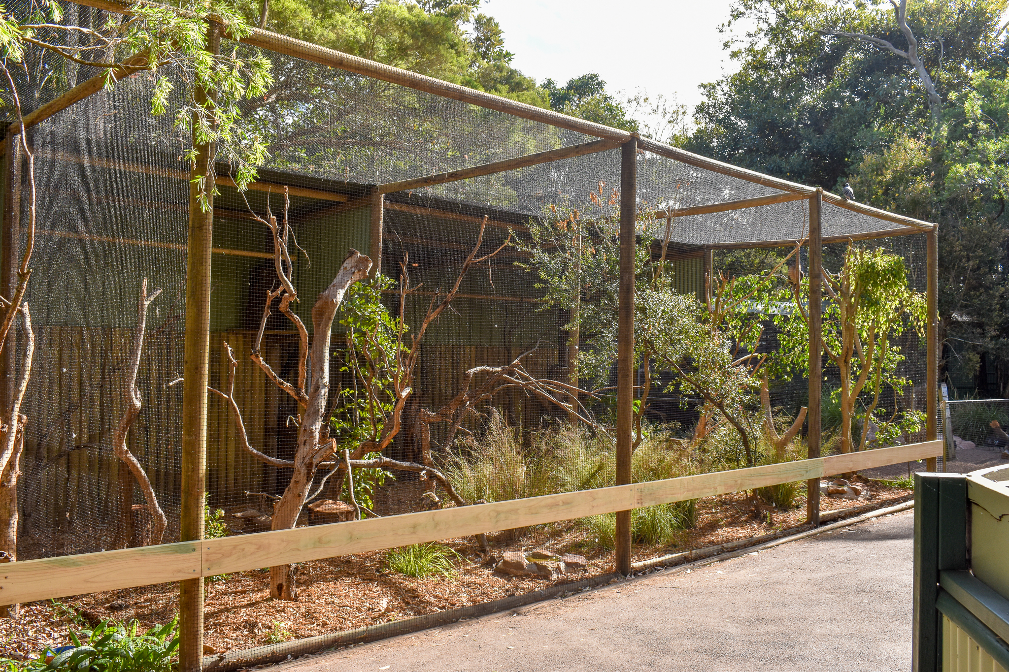 New Owl Aviaries