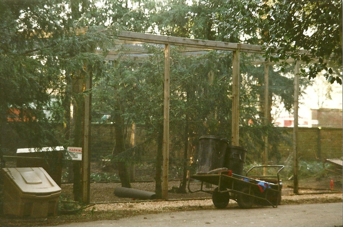 New Owl aviary 26th February 2000