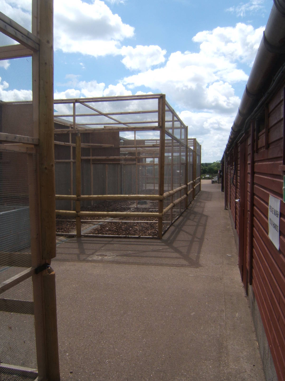 New Owl aviarys to house World Owl Trust Owls