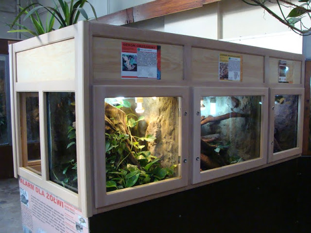 New packaging of terrariums