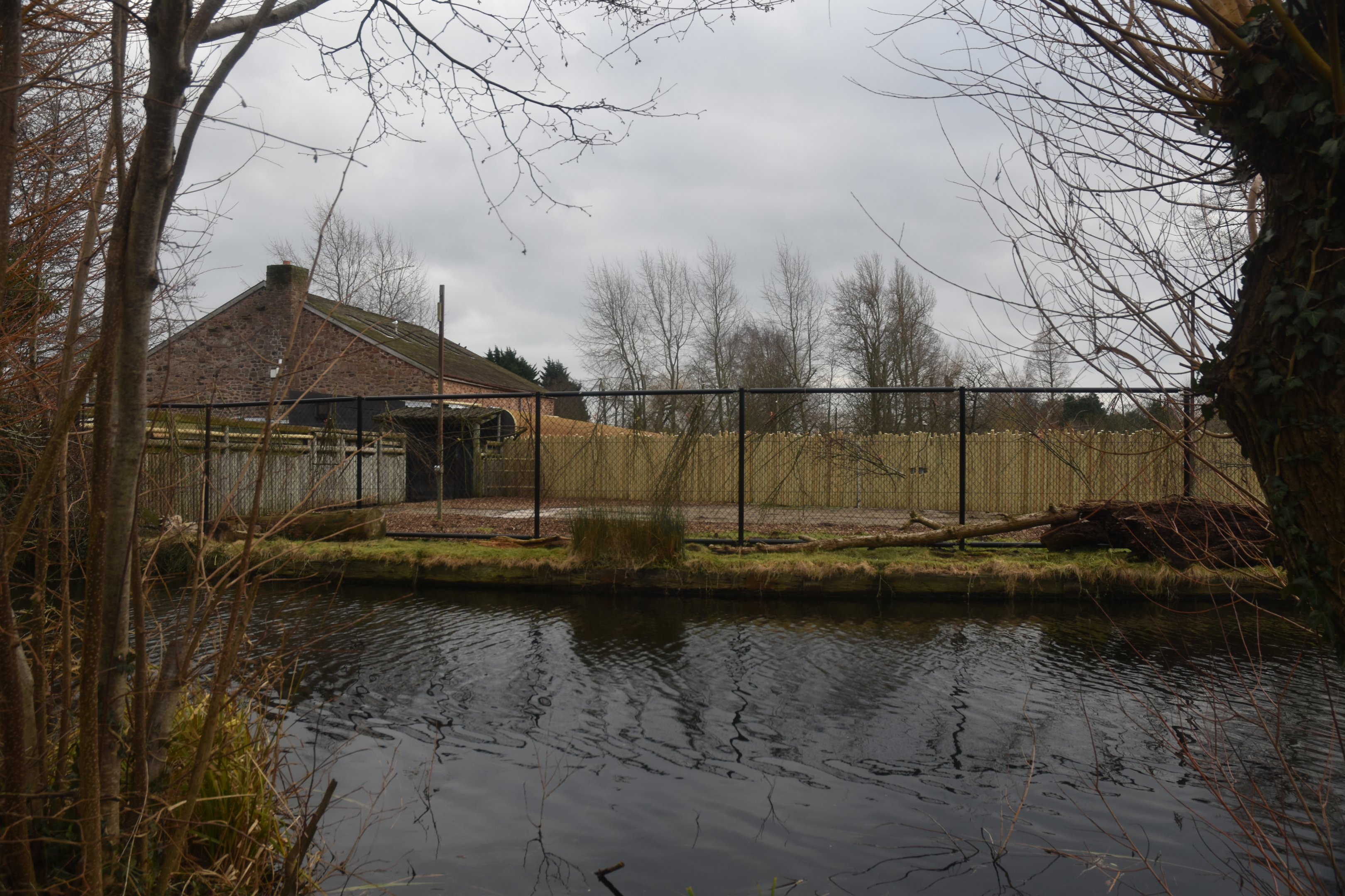 New Paddock at Chester, 1st February 2025