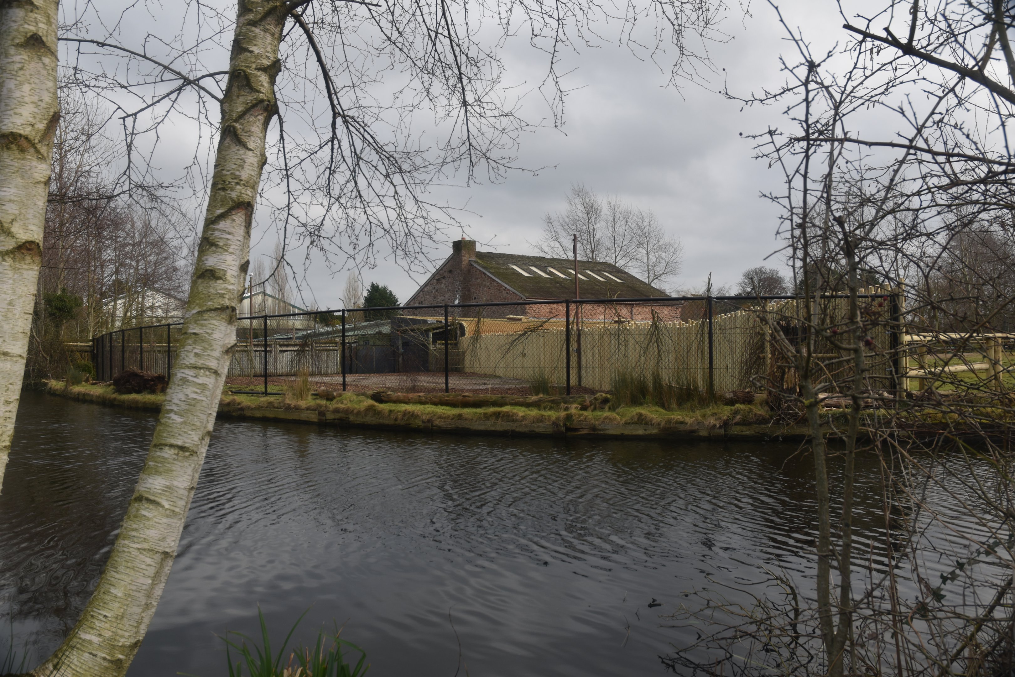 New Paddock at Chester, 1st February 2025