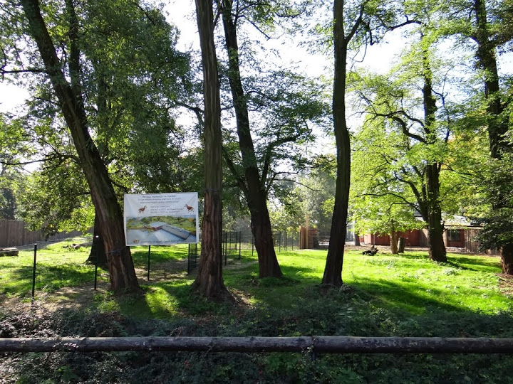 New paddocks for Okapia johnstoni