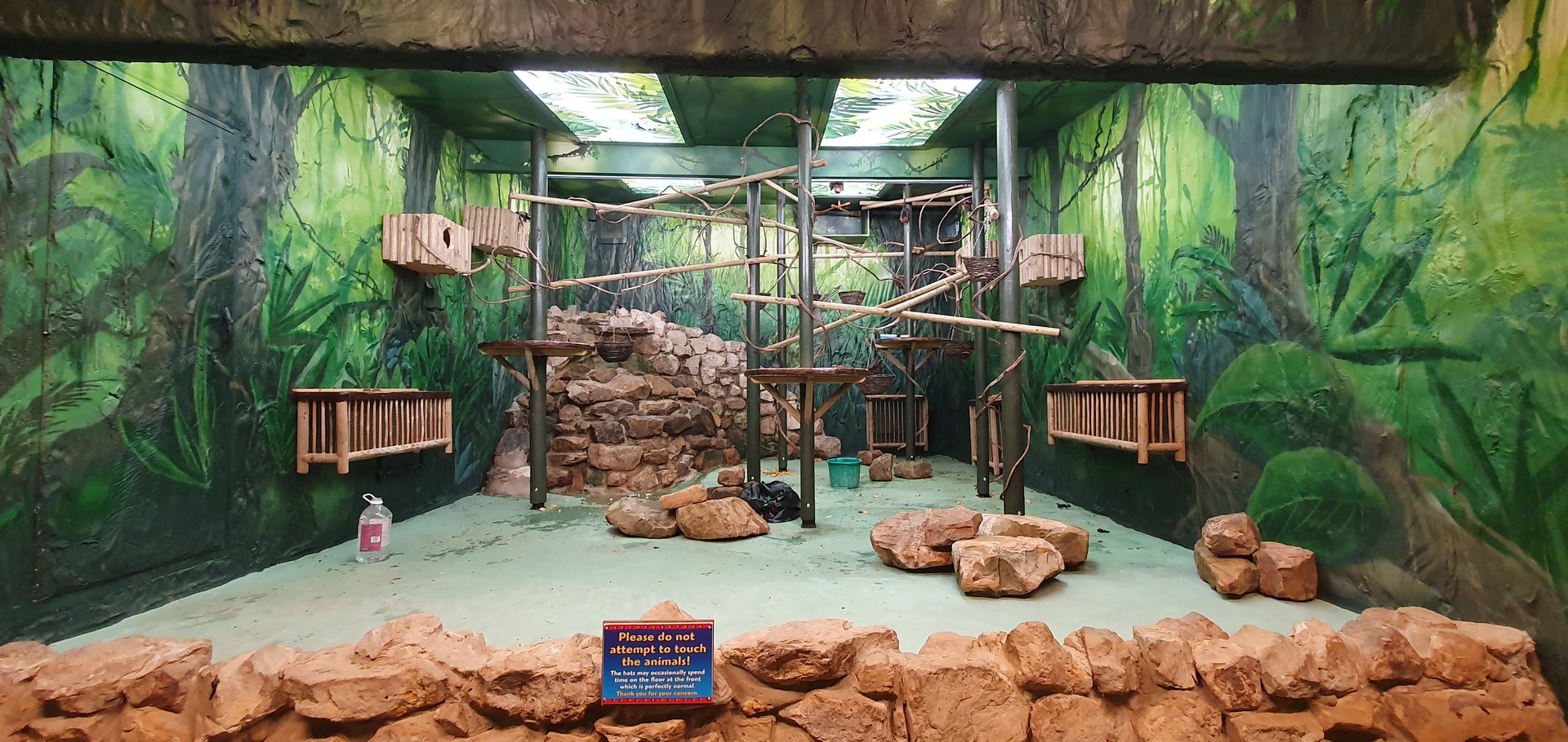 New paint in bat and sloth house