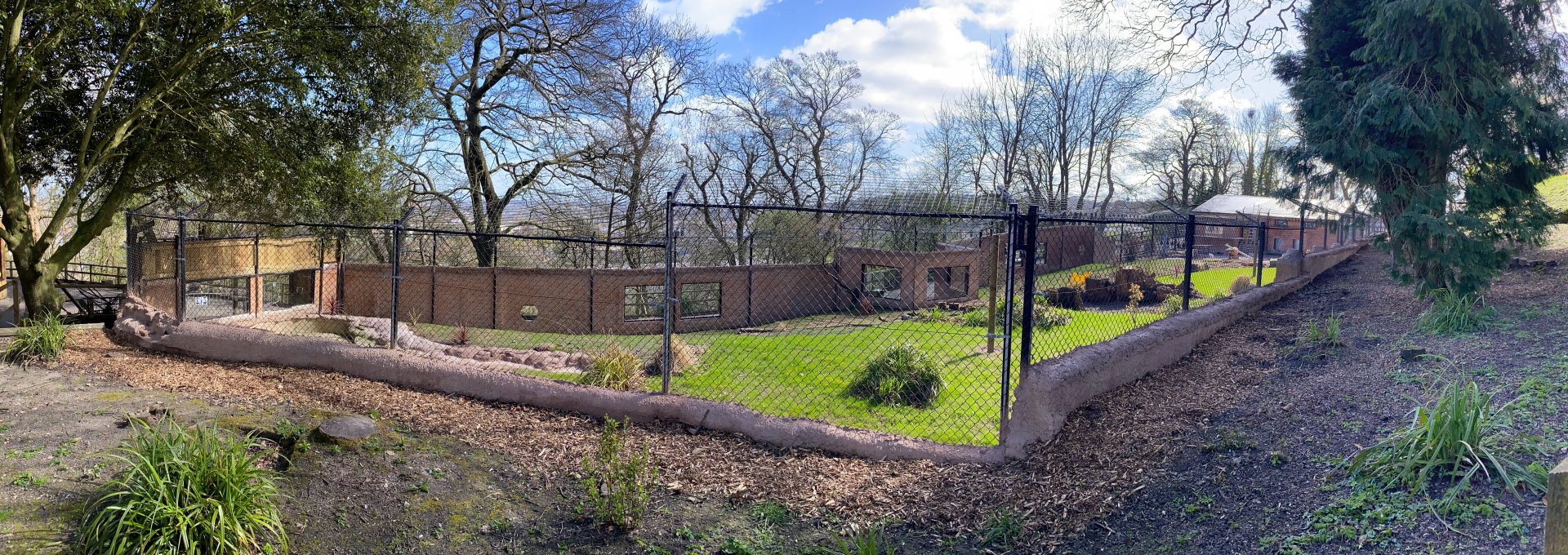 New Painted / African Hunting Dog enclosure under construction - left side (pano), Dudley, UK