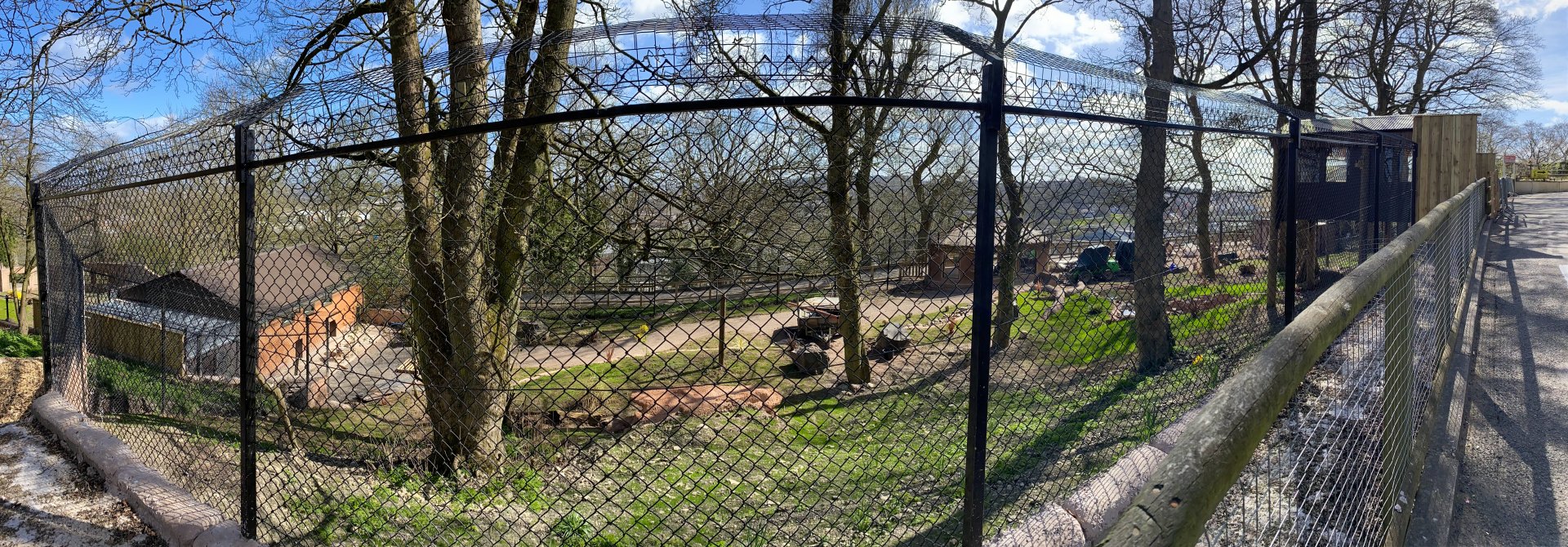 New Painted / African Hunting Dog enclosure under construction, right side (pano), Dudley, UK