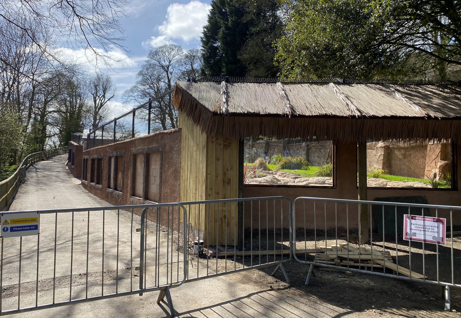 New Painted / African Hunting Dog enclosure under construction - viewing windows, Dudley, UK