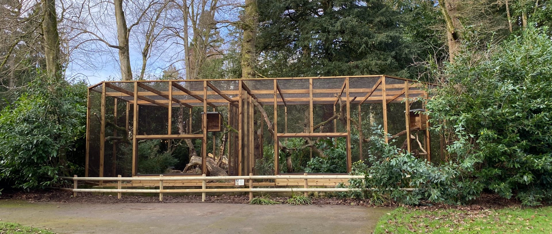 New Pallas's cat enclosure, CWP, UK