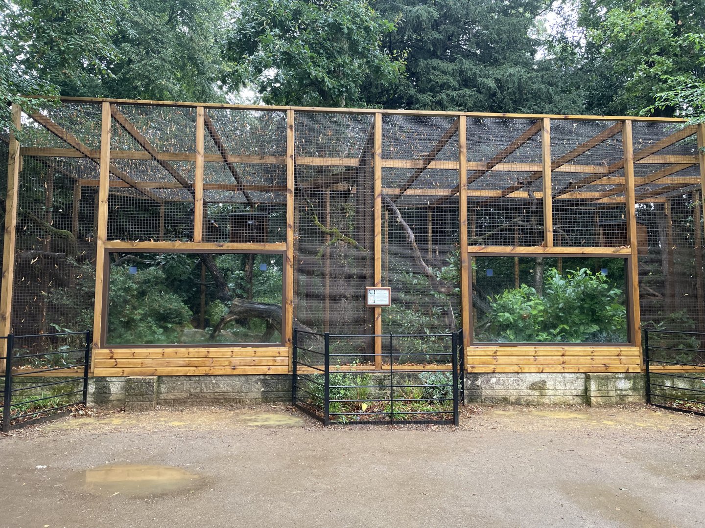New Pallas's Cat Enclosure