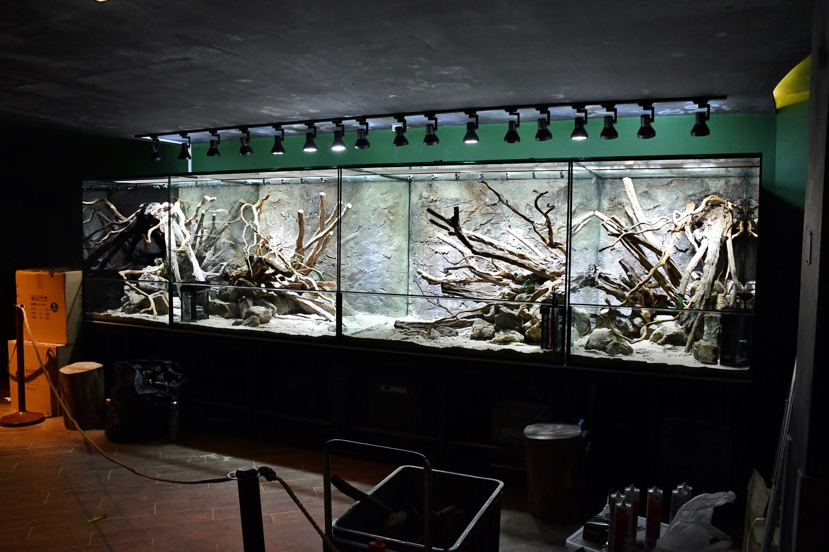 New paludariums at Reptopia