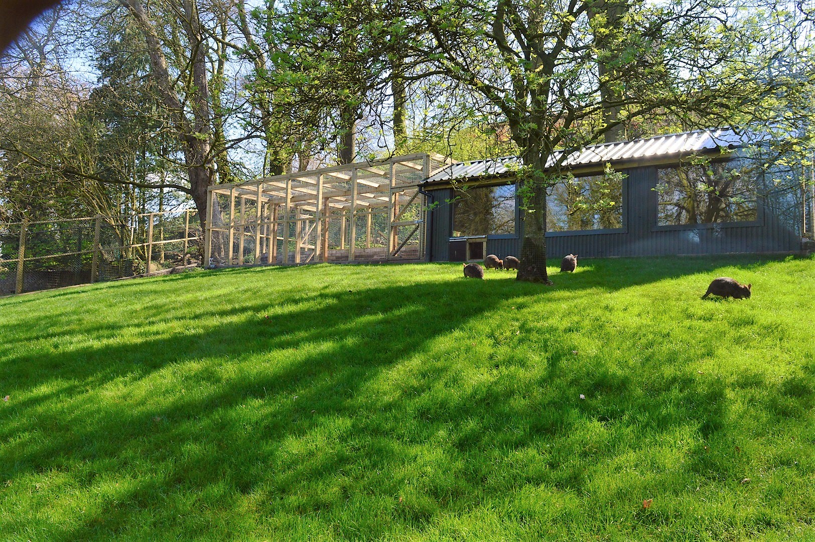 New Parma wallaby housing