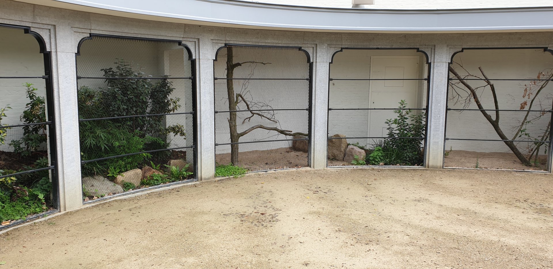 New Parrot-aviaries waiting for the right wire-mesh