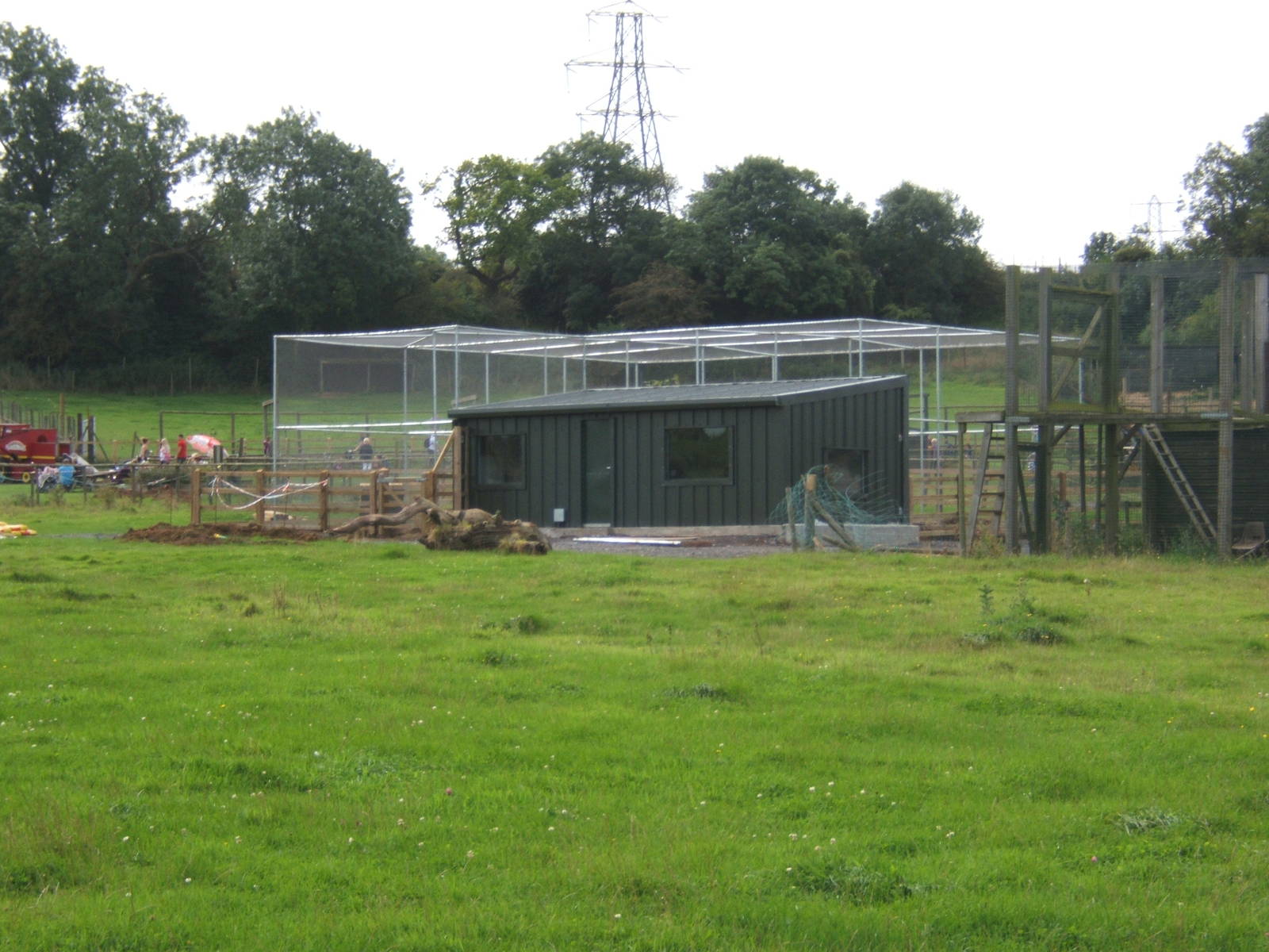 New Parrot Aviary construction work