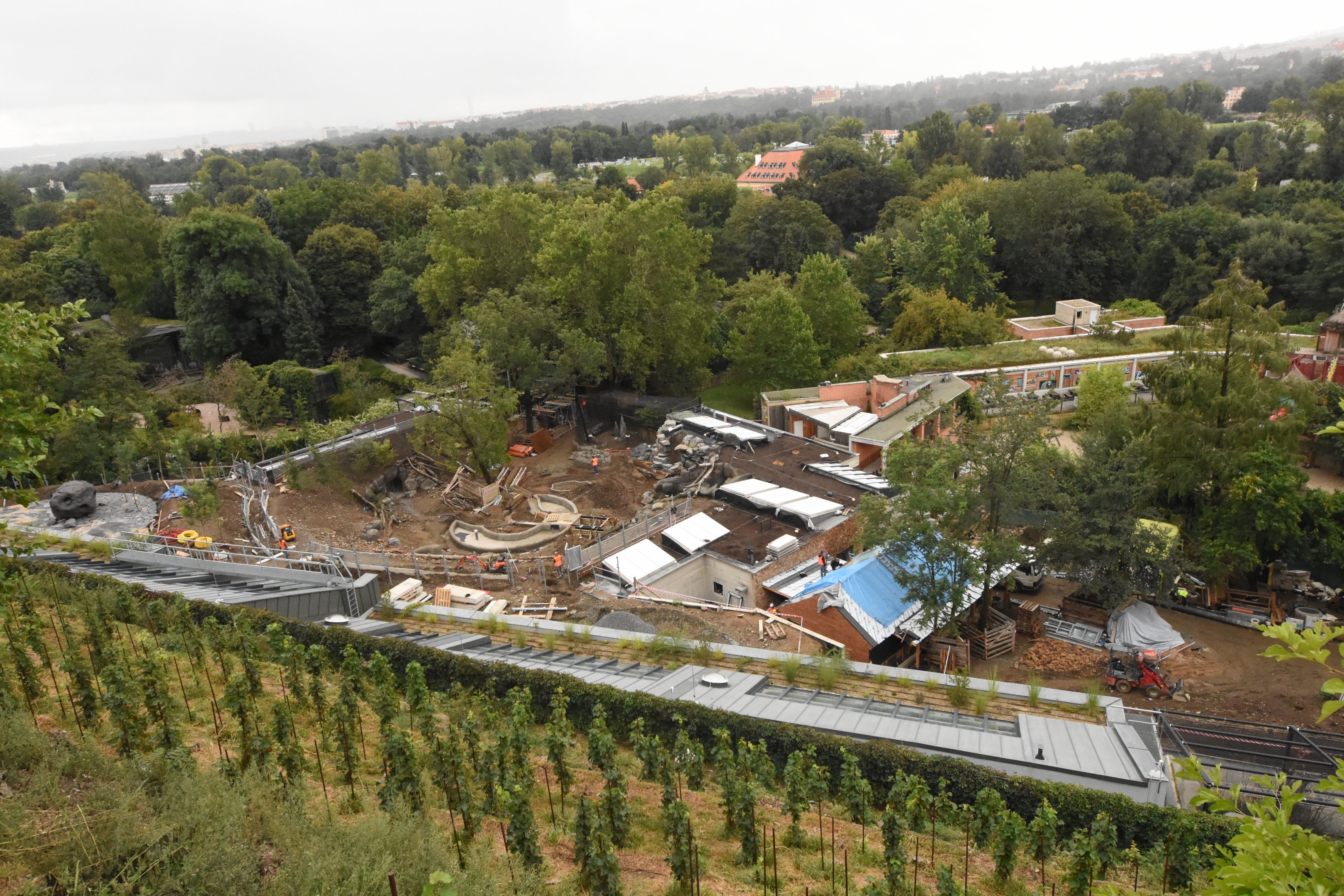 New parrot house and Australian development