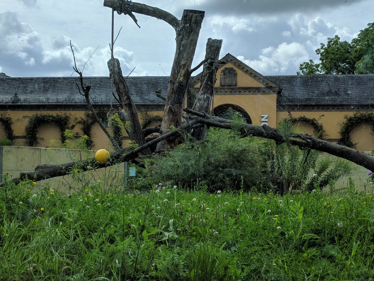 New Part of Syrian Brown Bear and Corsac Fox Enclosure