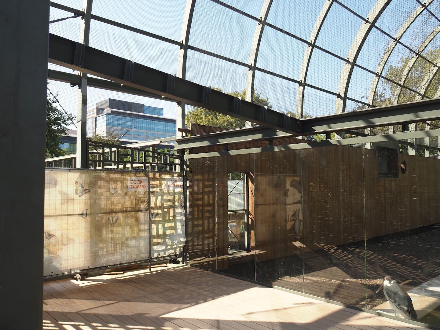 New partially opened upper viewing area for hippo house aviary, 2024-08-28