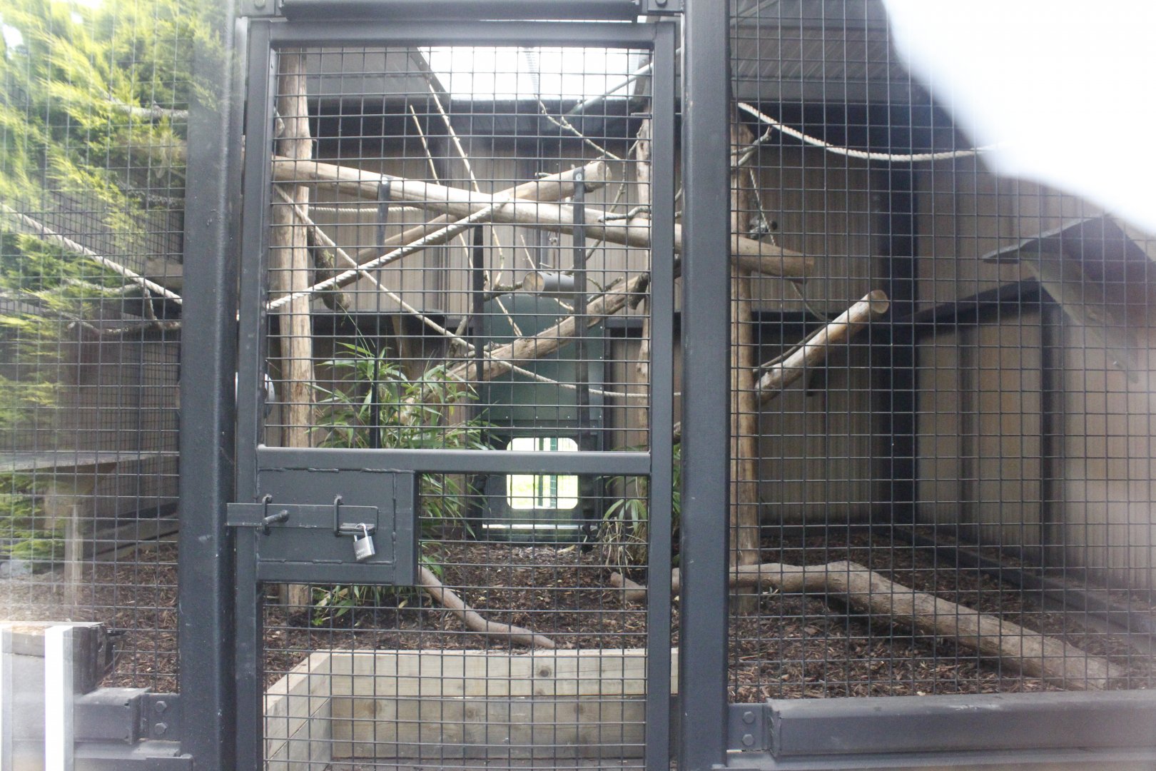 New Patas monkeys house interior