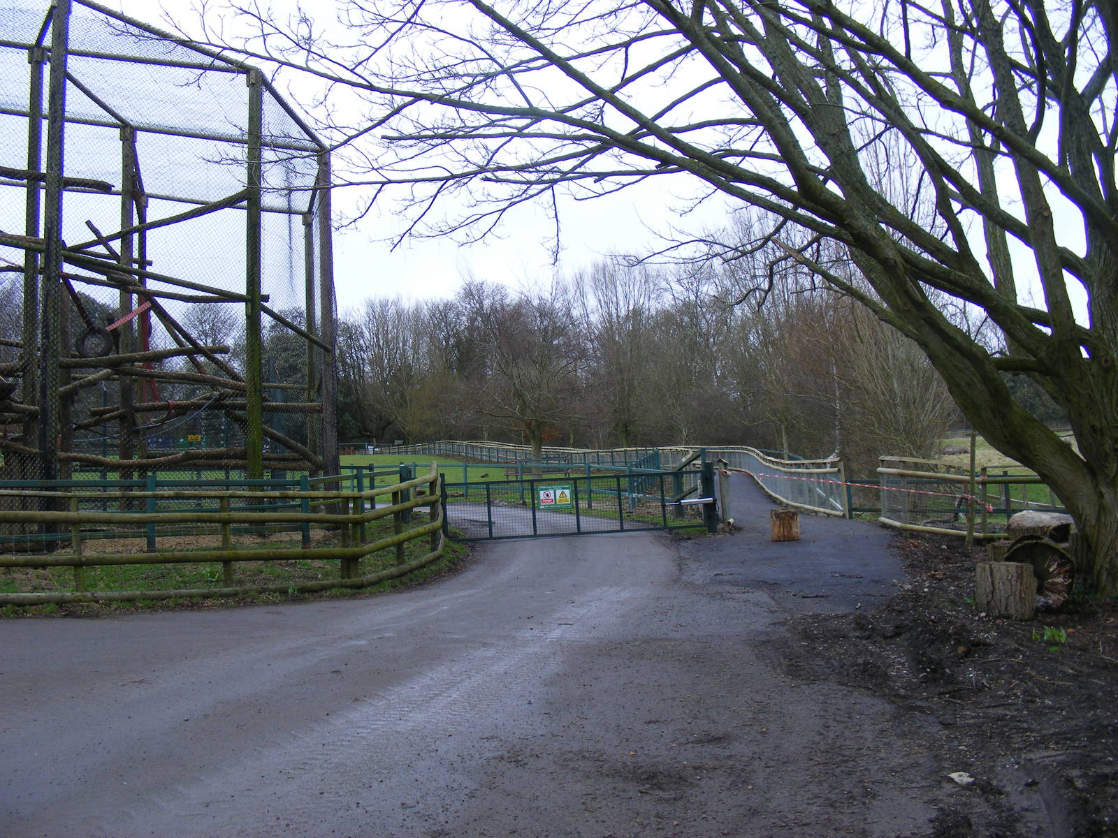 New path at Port Lympne Wild Animal Park, 13 February 2011