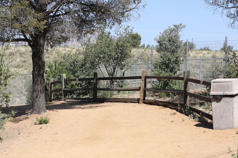 new path for new deer exhibits