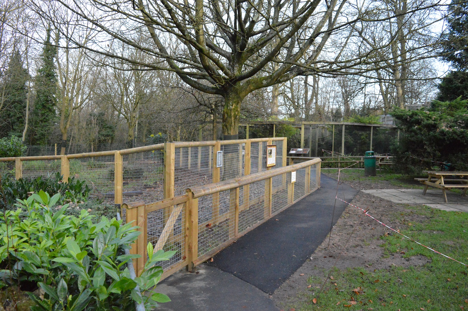 New path in front of new giant anteater enclosure