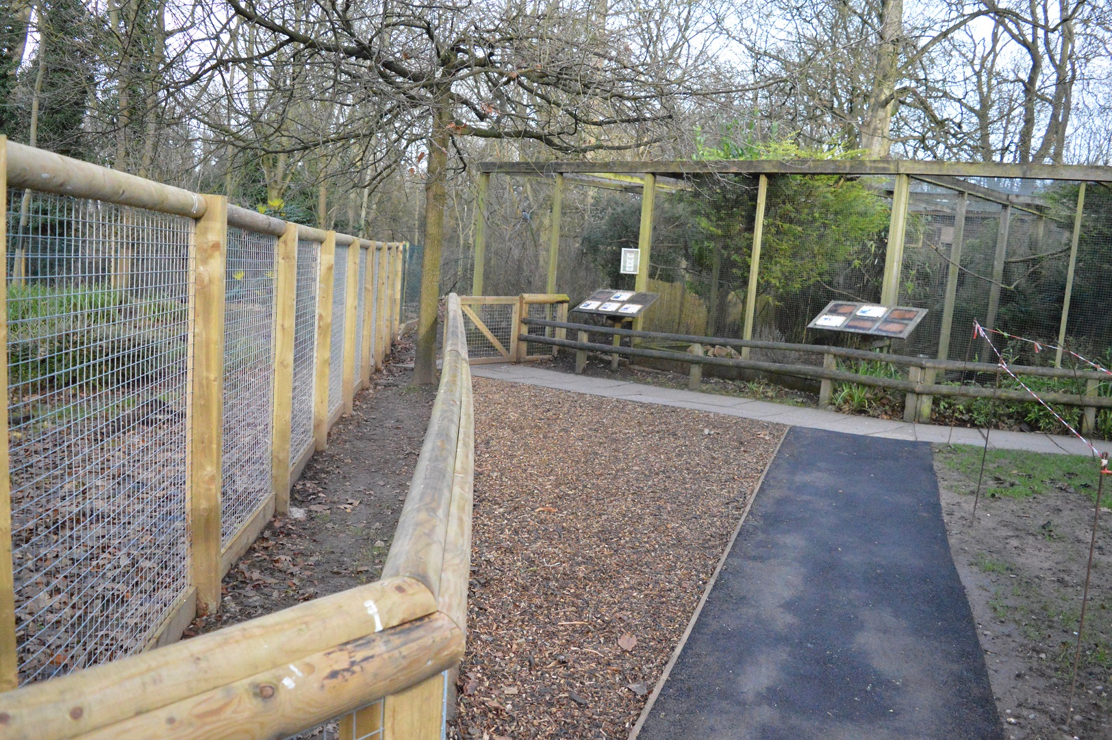 New path in front of new giant anteater enclosure