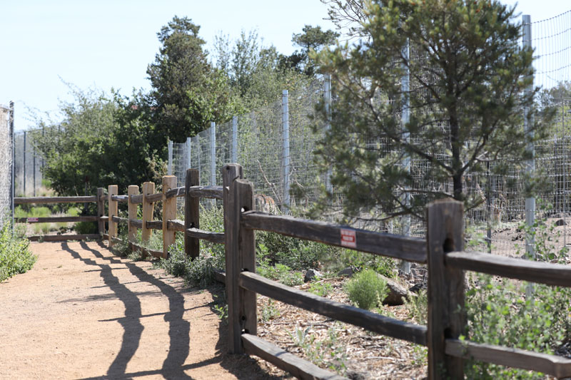 new path to new deer exhibits