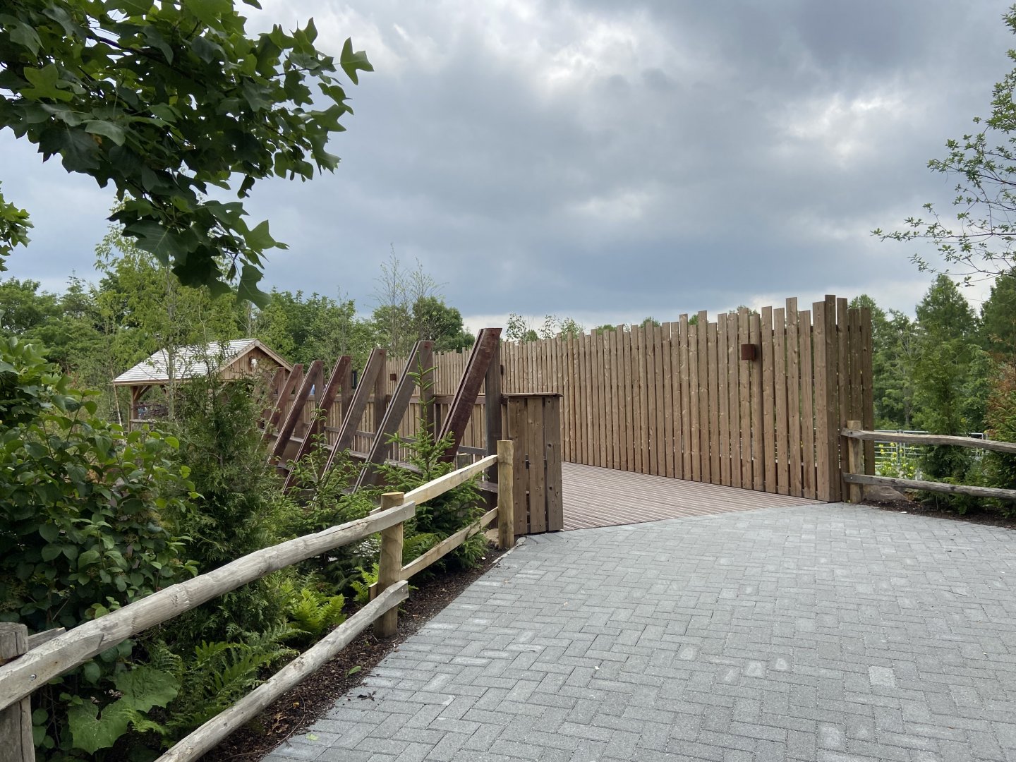 New path to rear of bison paddock - bridge over access to paddock from holding area