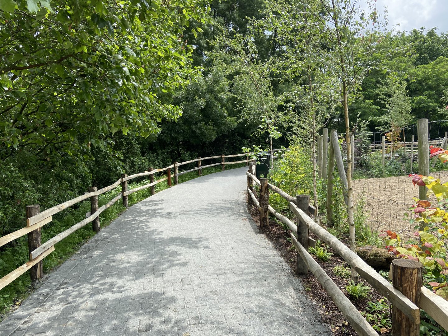 New path to rear of bison paddock