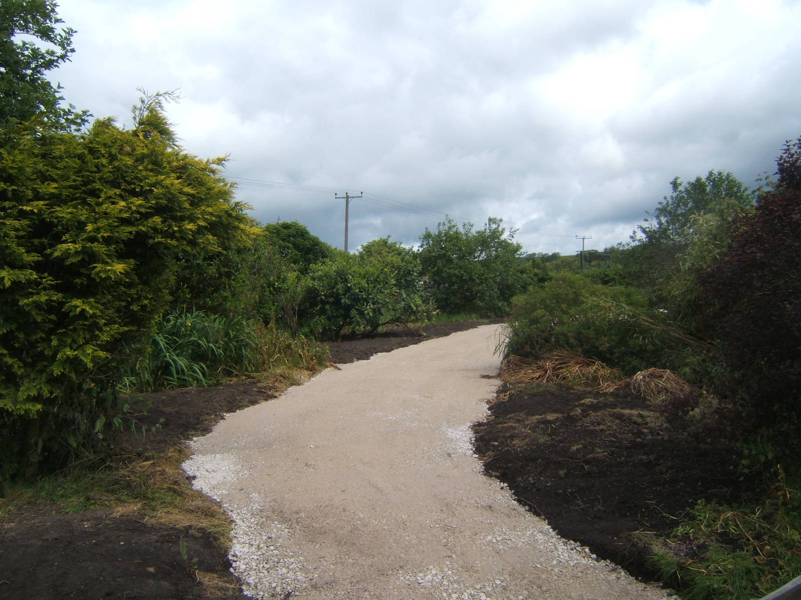 New path to the next walk through encounter to open