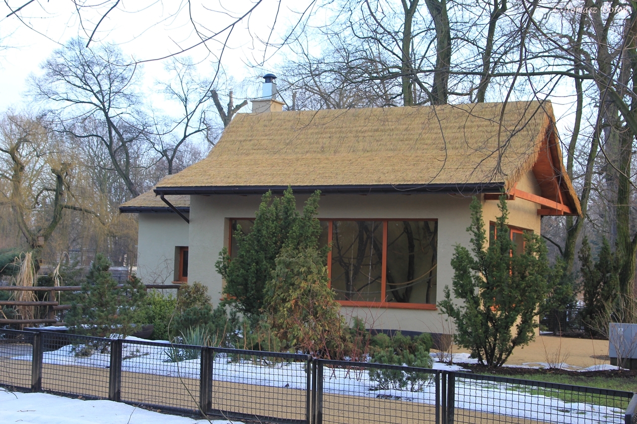 New pavilion for Gibbons