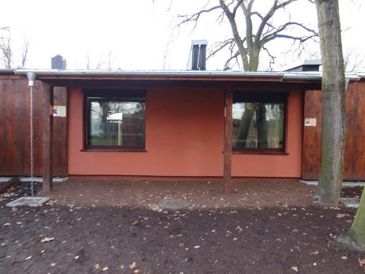 New pavilion for Okapia johnstoni and Potamochoerus porcus