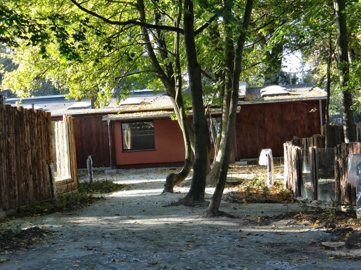 New pavilion for Okapia johnstoni