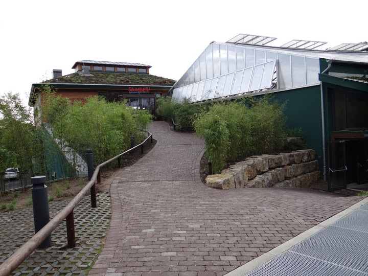 New pavilion of Loxodonta africana