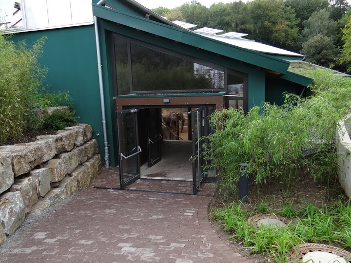 New pavilion of Loxodonta africana