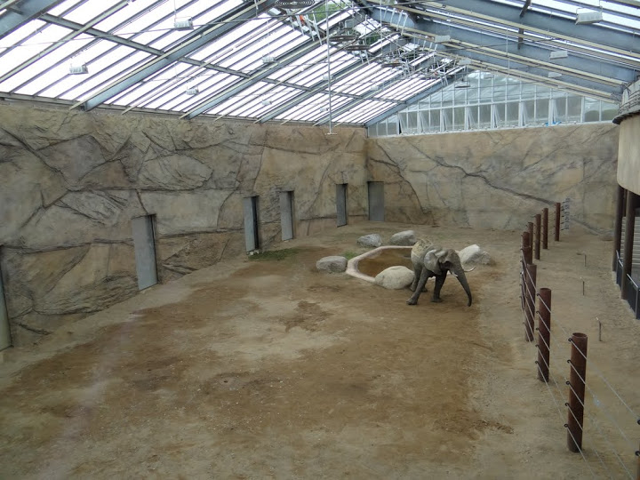 New pavilion of Loxodonta africana