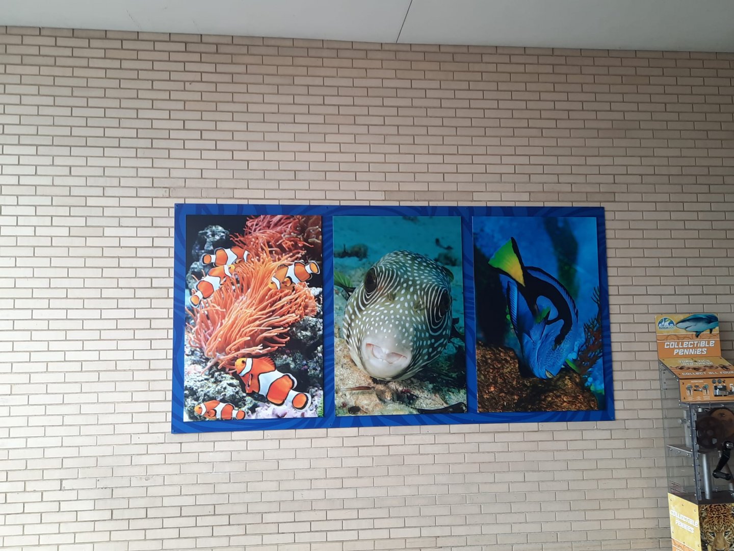 New PC&A Signage - Aquatic