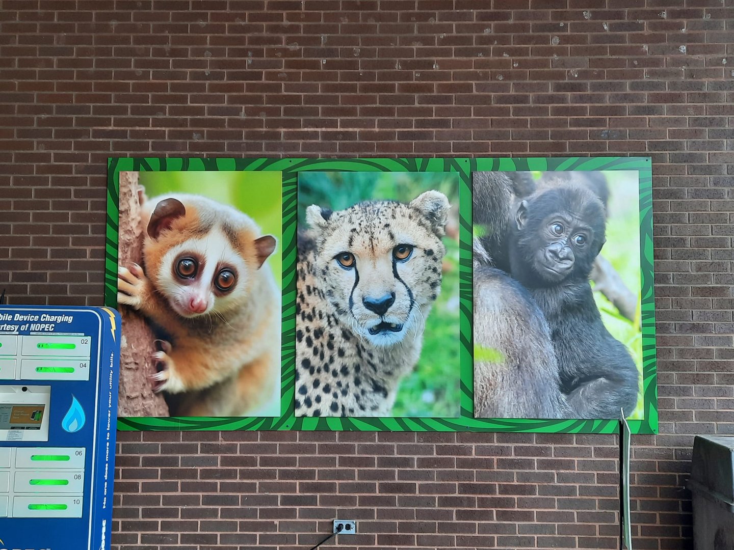 New PC&A Signage - Cat and Primate