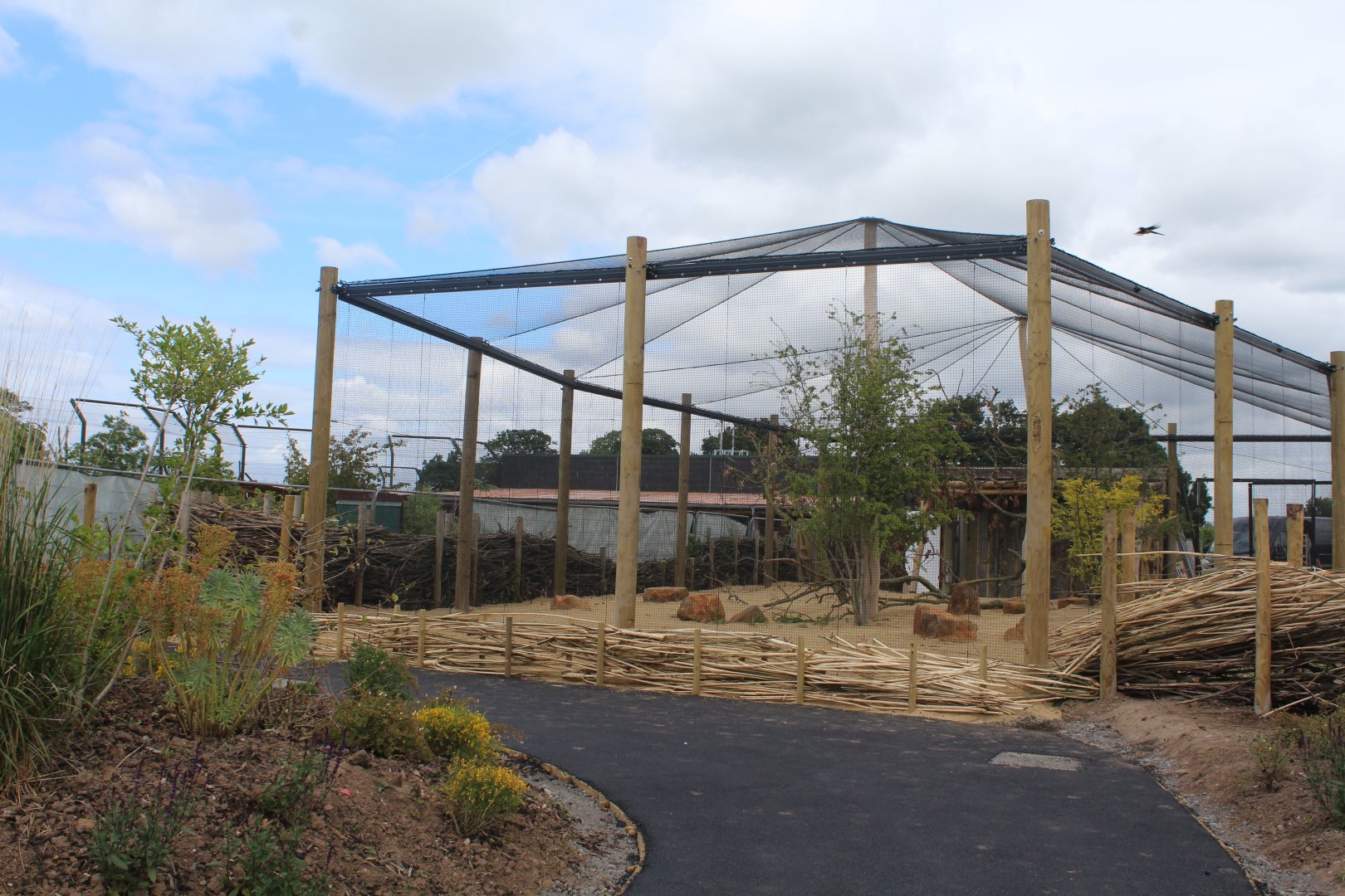 New peafowl aviary 27th May 2022